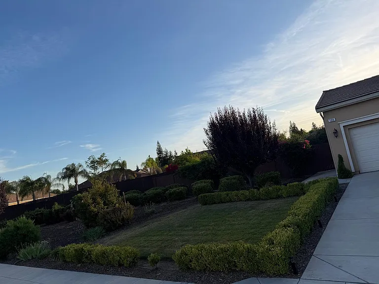 Front Lawn