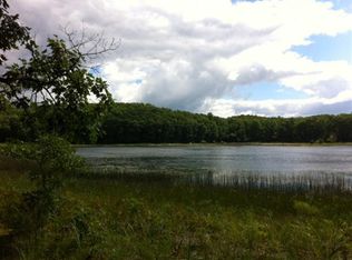 9154 W Ox Path St, Baldwin, MI 49304