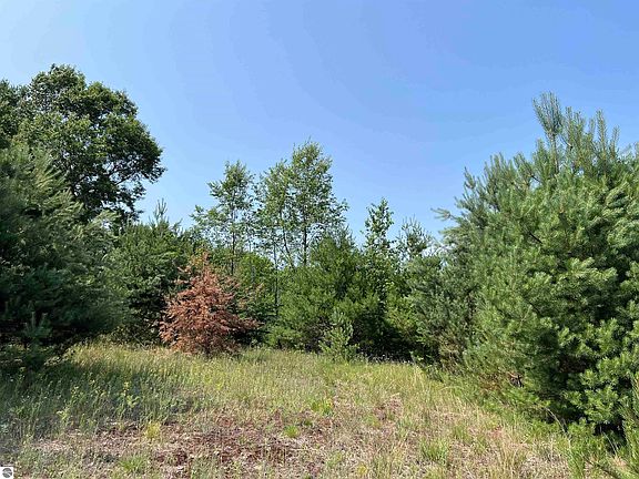 5th image of Cushman Ct Unit 12