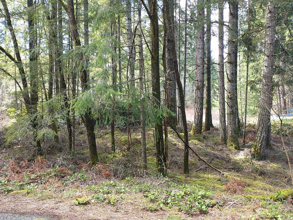 1st image of 0 Wye Lake Blvd SW
