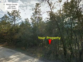 28442 SE 284th Ct, Umatilla, FL 32784