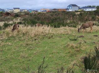 473 Hilo Ct, Ocean Shores, WA 98569