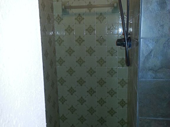 Master bath shower