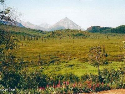 L2 Purinton Creek Trl, Sutton, AK, 99674