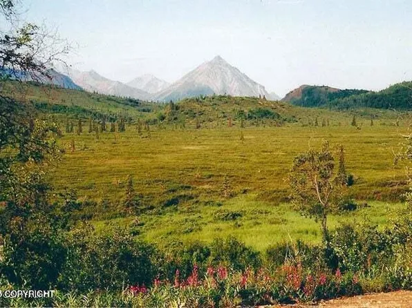 L2 Purinton Creek Trl, Sutton, AK 99674