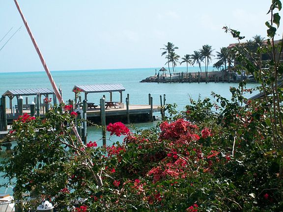 2nd image of 95 Coco Plum Dr