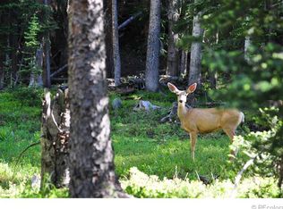 11211 S Deer Creek Rd, Littleton, CO 80127