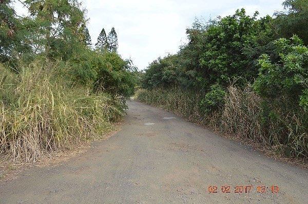 2nd image of LOT 9 Lot 9