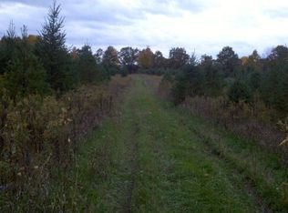 0 Whitcomb Rd, Savona, NY 14879