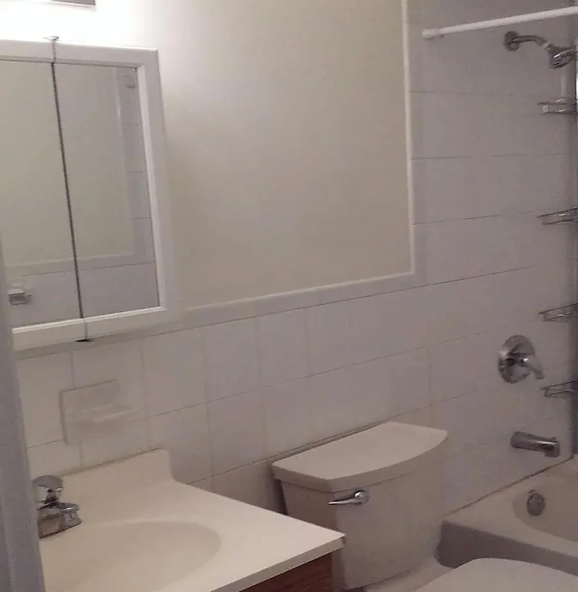 1 bed, 999 sqft, $1,250 — Photo 4