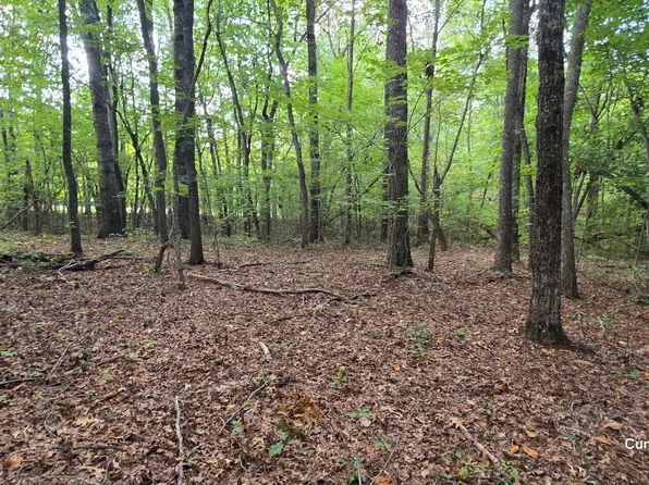 Birch Pl, Monterey, TN 38574
