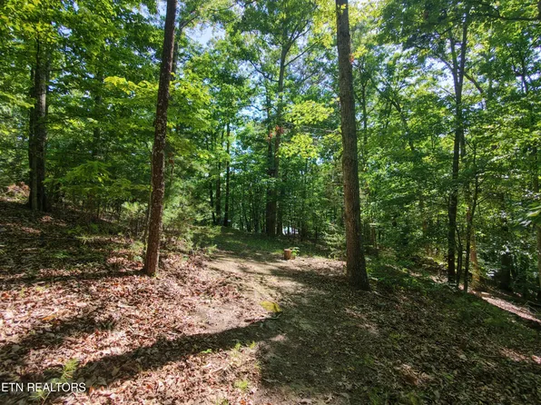 Boulder Way, Newport, TN 37821