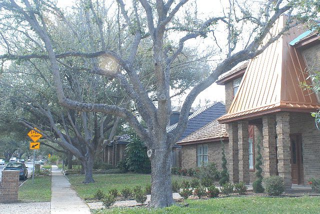 1st image of 324 Zinnia Ave
