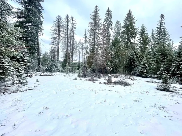Larch Ln Lot 36, Cusick, WA 99119