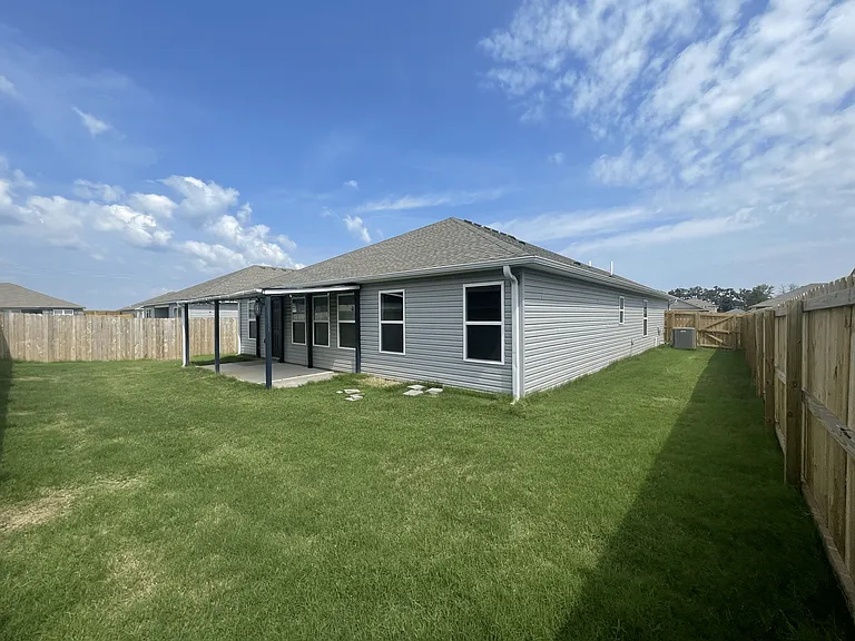 Back yard