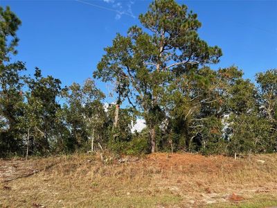 Trumbull Dr Lot 11, Spring Hill, FL, 34609