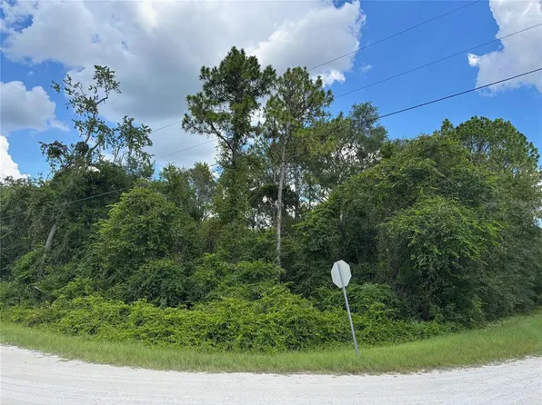 LOT 1 Canvasback Rd Lot 1, Brooksville, FL 34614