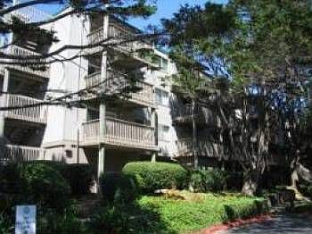 1st image of 361 Half Moon Ln APT 207