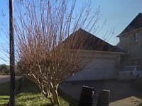 1st image of 106 Medford Ct