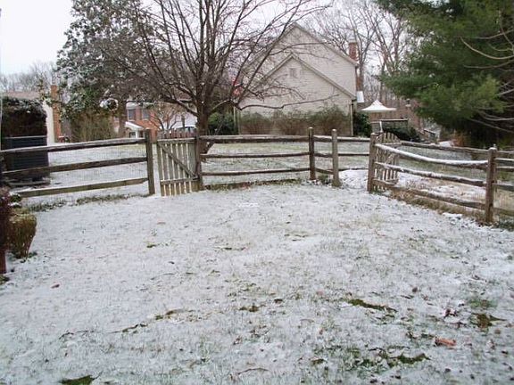 Fenced Yard