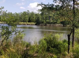 46 Tar Creek Rd, Oriental, NC 28571