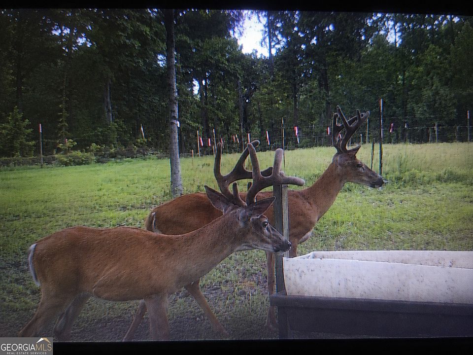 1st image of 86.92 Dixon Rd #B