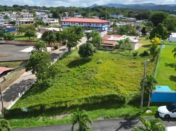 Carr 829 4 Bo Pinas, Toa Alta, PR 00953