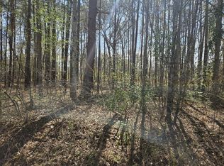 LOT 1 Benbow Dr, Summerton, SC 29148