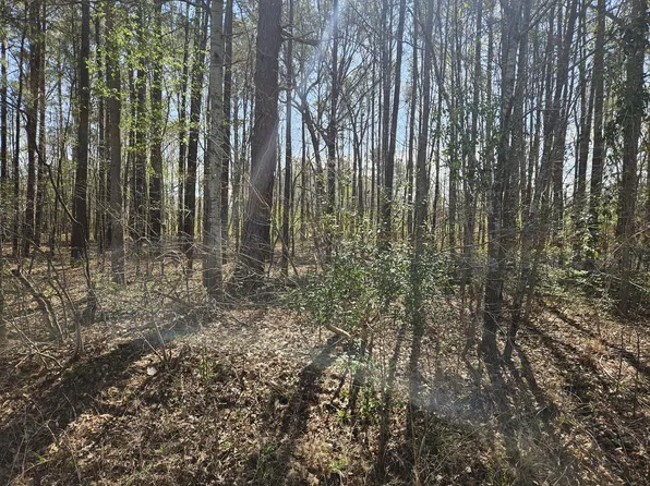 LOT 1 Benbow Dr, Summerton, SC 29148