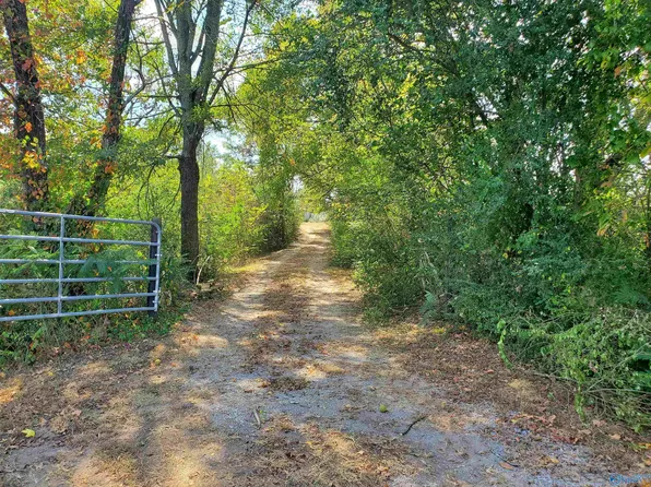3394 Rescue Rd, Laceys Spring, AL 35754