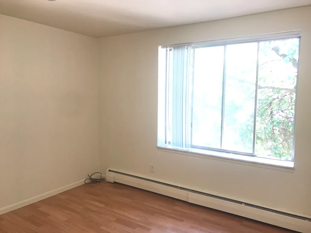 2 bed, $2,000 — Photo 1