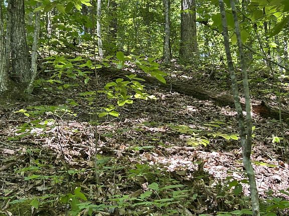 3rd image of 0 Lower Powdermill Rd