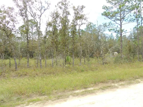 690 NE 135th Ct #4, Williston, FL 32696