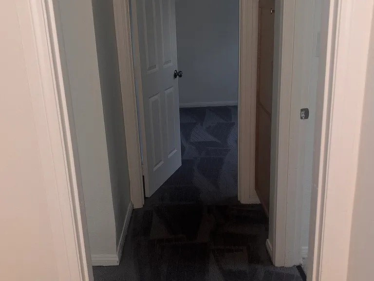 116 Palm Ave #8 — Photo 8