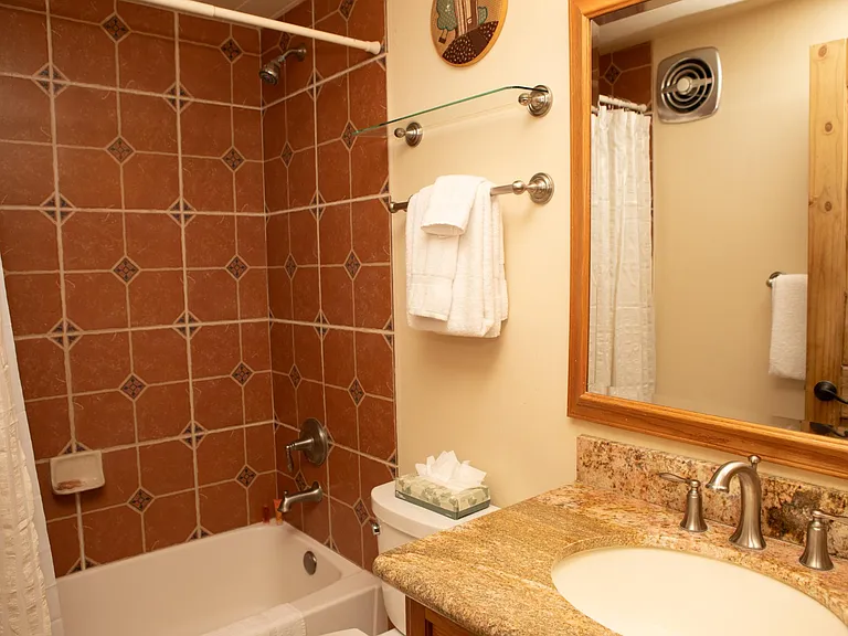 1081 Vail View Dr #B306 — Photo 4