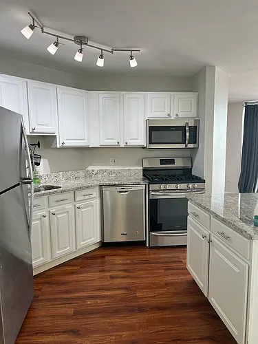545 N Dearborn St #2404 Photo 1