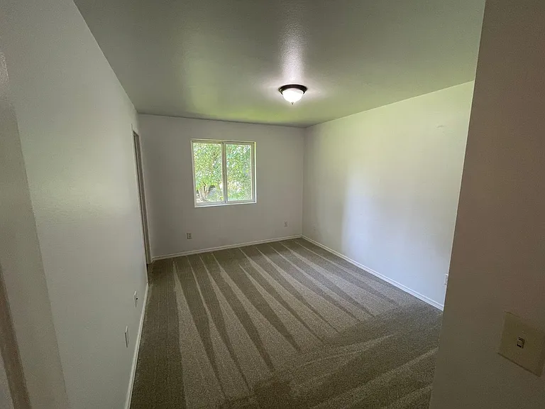 2415 Forest Park Ln — Photo 18