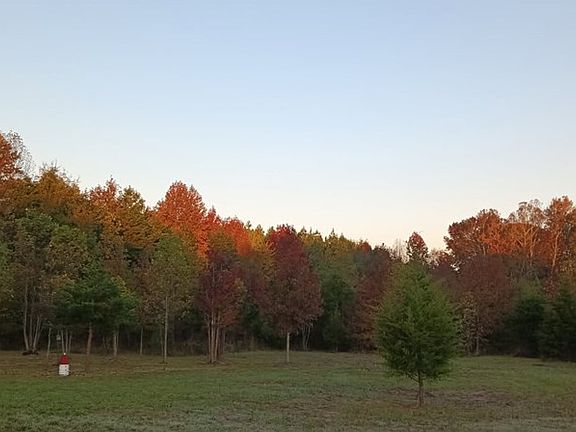 4th image of 4140 Bull Creek Rd
