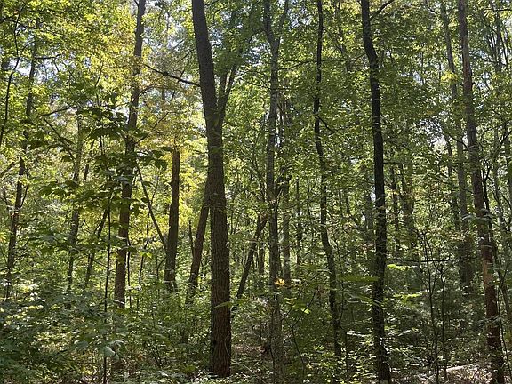 4th image of 589 Barney Creek Rd