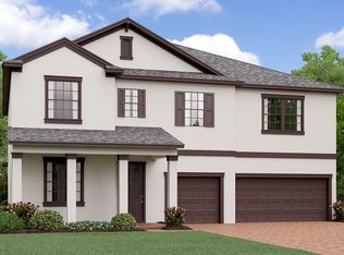 13520 White Sapphire Rd, Riverview, FL 33579