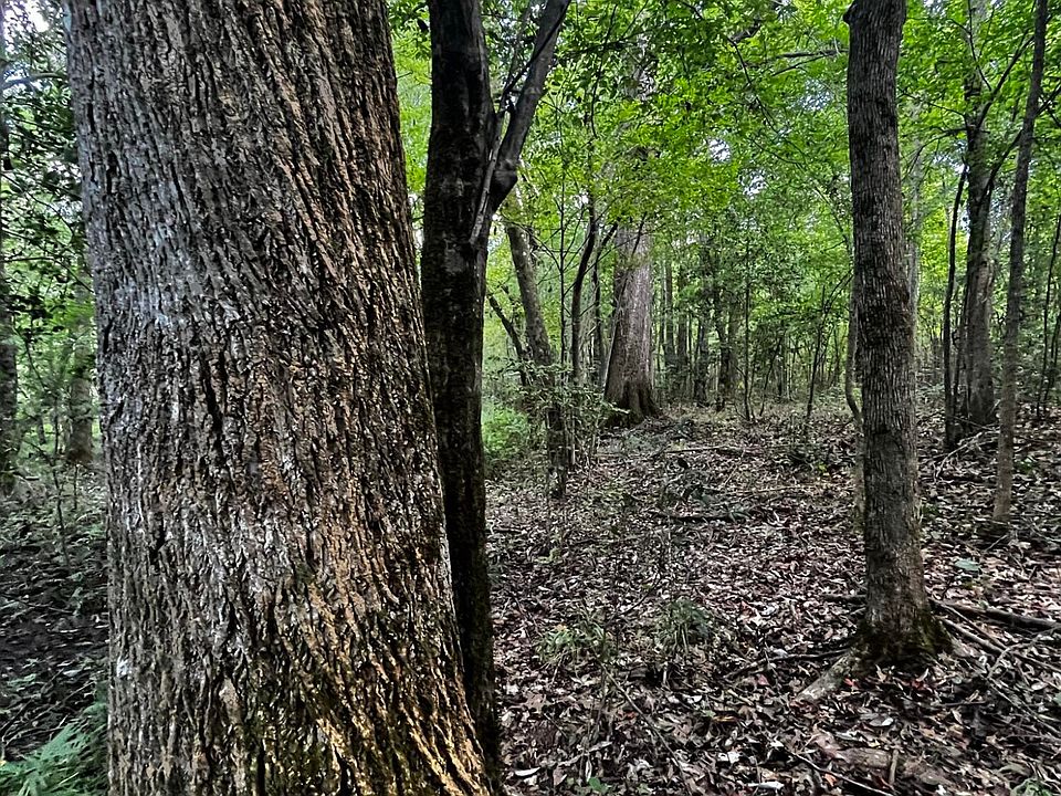 Kennedy Rd, Ackerman, MS 39735 MLS 4057019 Zillow