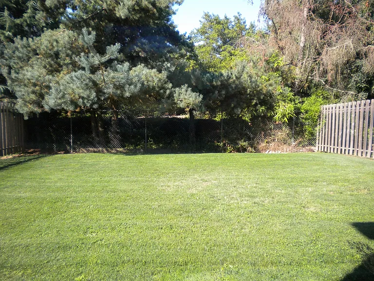 2946 Matt Dr — Photo 7