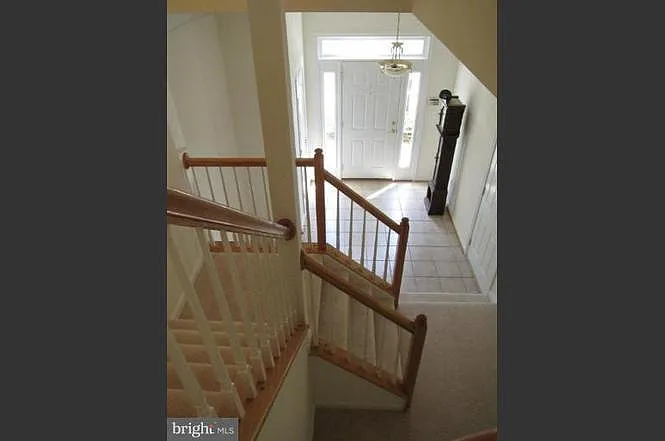 13602 Flying Squirrel Dr — Photo 3