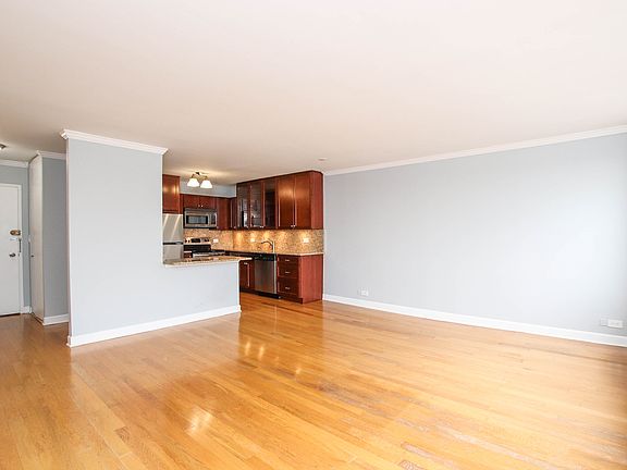 4th image of 1360 N Sandburg Ter APT 2803