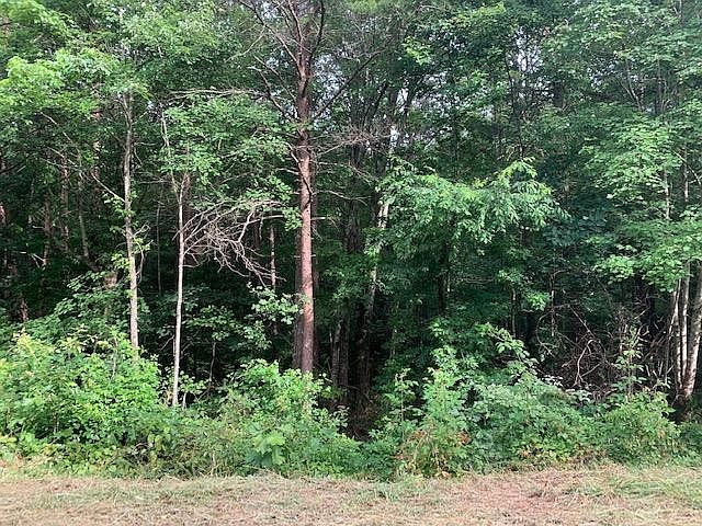 1st image of 31 Crabtree Dr Lot 31