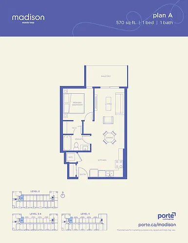 Floor plan 1 Bedroom Apartment 1 Bed 1 Bath