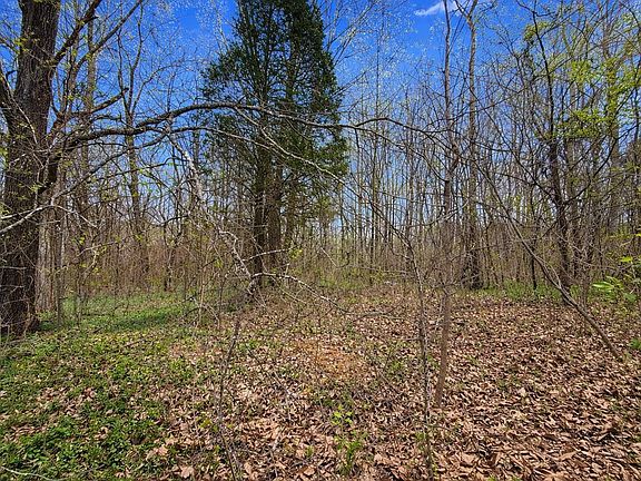 4th image of 0 Stephenson Cemetery Rd