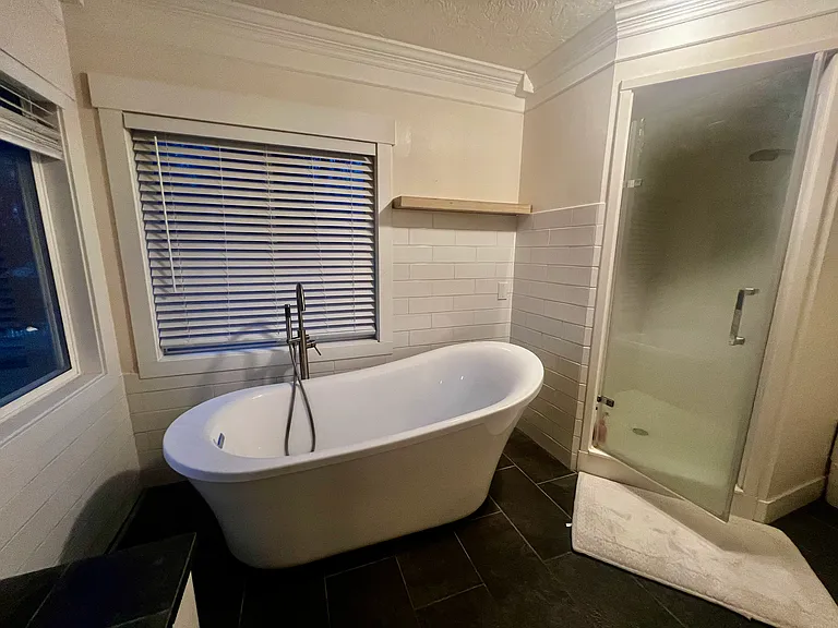 Master bath tub and shower