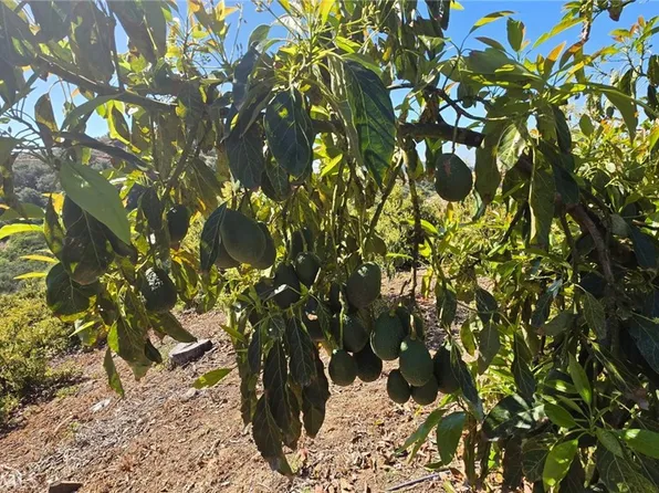 0 Via Barranca #1, Temecula, CA 92590