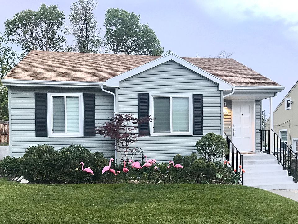 flamingos optional __